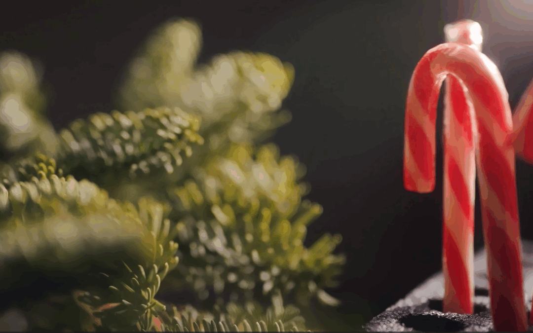 Wir wünschen fröhliche Weihnachten!